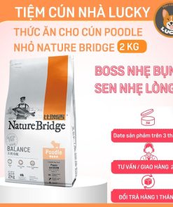 Thức ăn cho chó