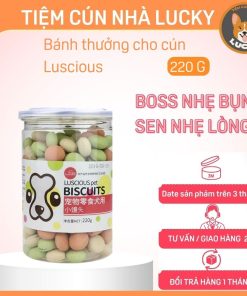 thức ăn cho chó