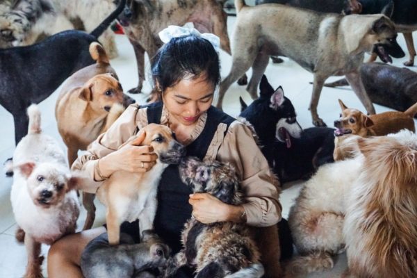 Nhận nuôi chó mèo miễn phí